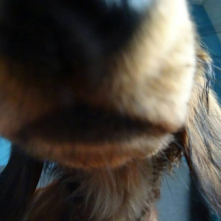 IMG_20181004_104200_342